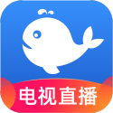 中美元首会晤情况和共识